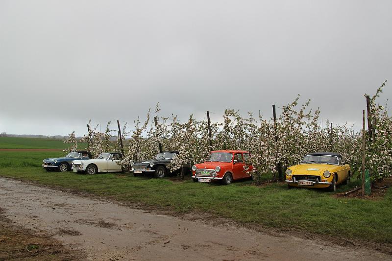 MG Bloesemrit op 24-4-2016 org. Jos&Marie-lou  (289).JPG